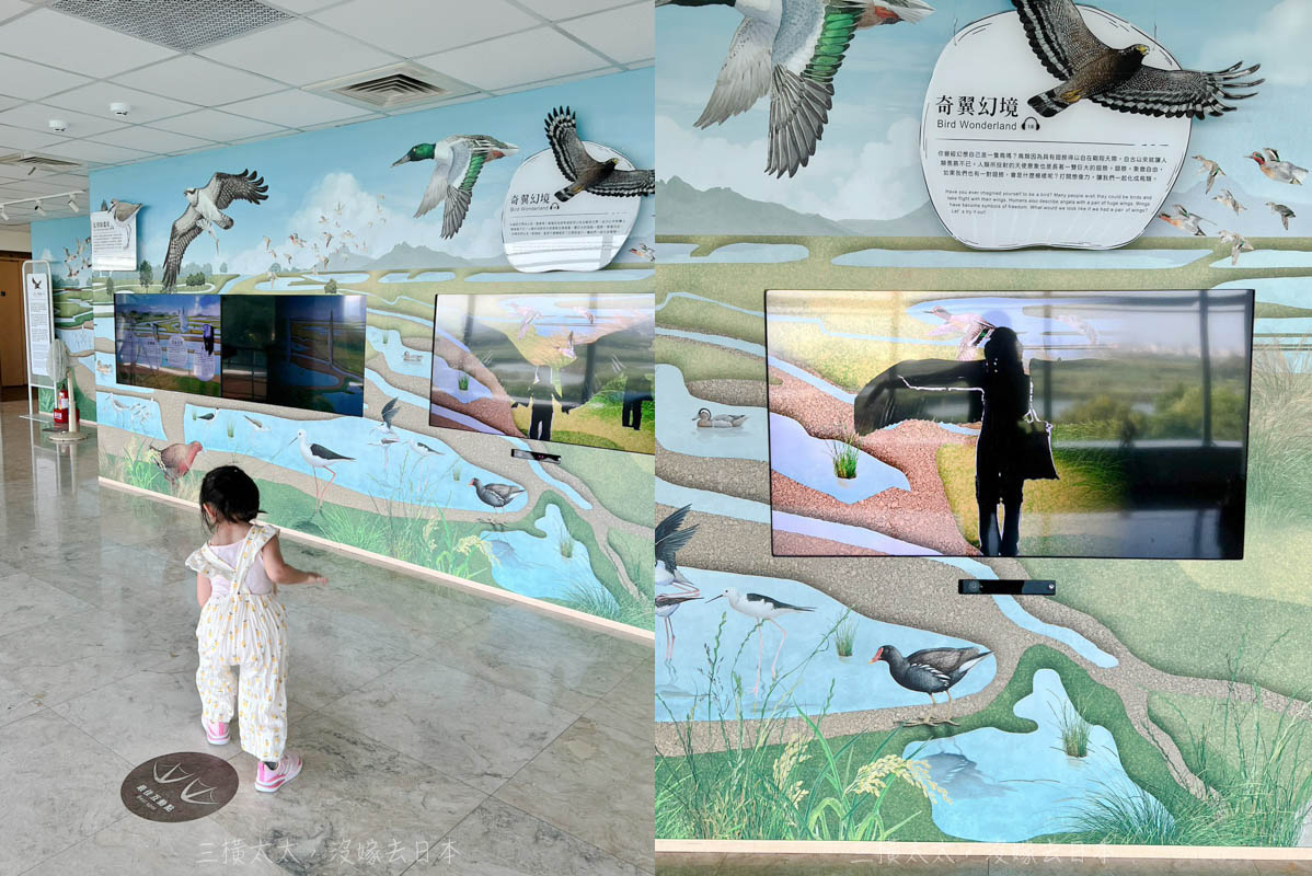 20230708 台北水鳥公園 6 7二樓互動式體驗